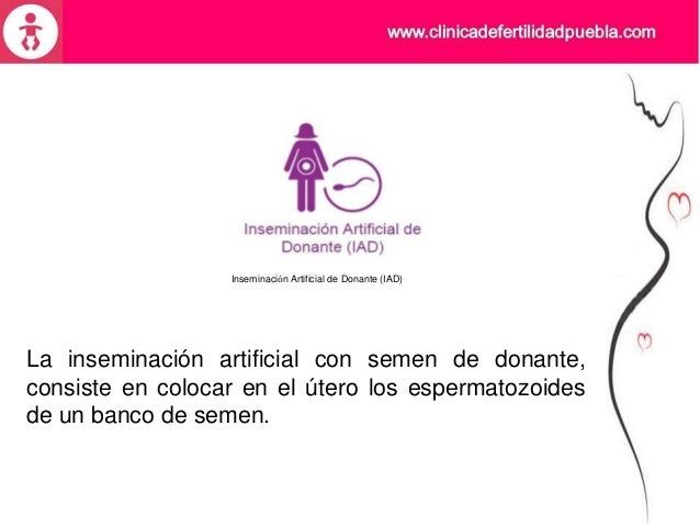 Inseminacion artificial en cerdas pdf editor